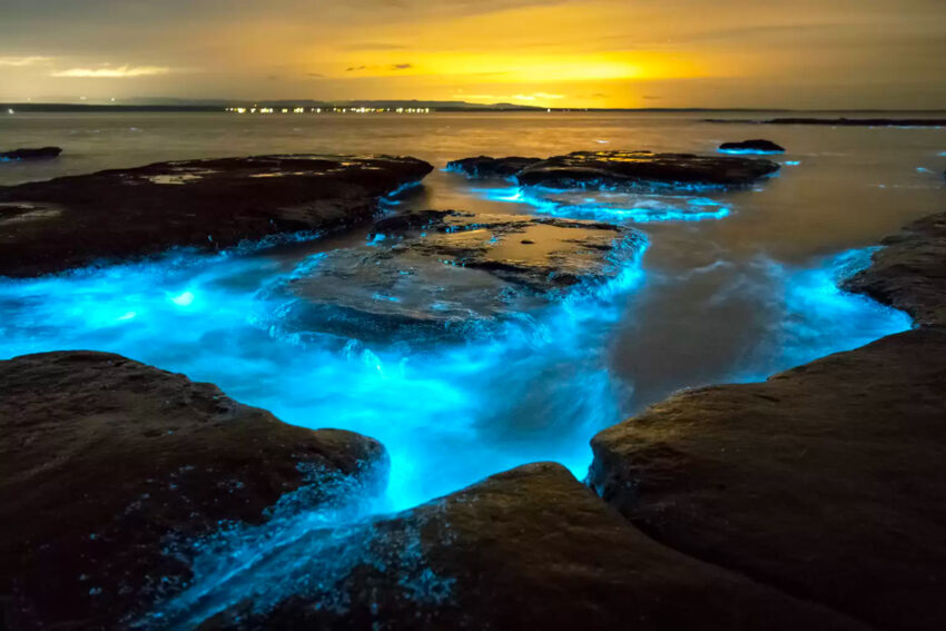 Bioluminescence beach Cayman Islands